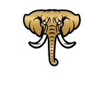 TEAM ZOHAIR